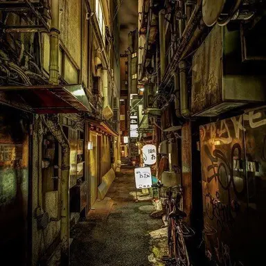 Profile image of C존