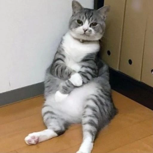 김수아