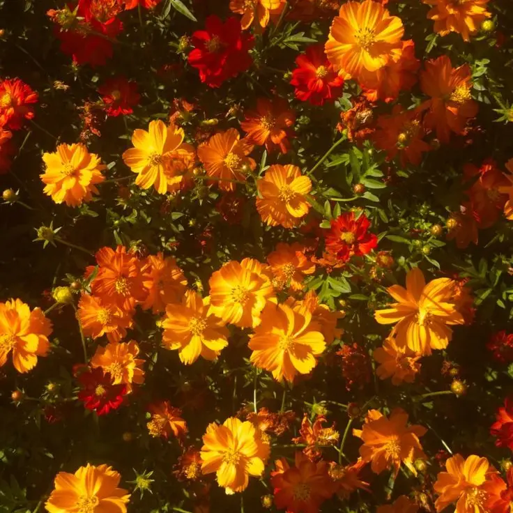 Teruterubozu의 박승기