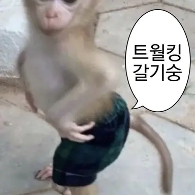 Profile image of 여우