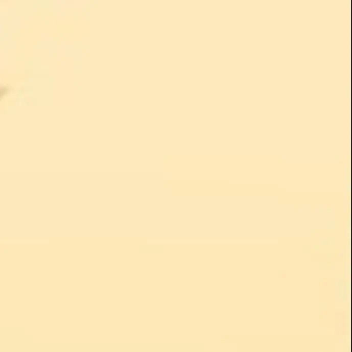 1052type의 김각별