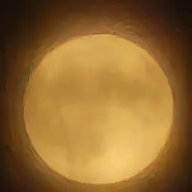 Profile image of 매화