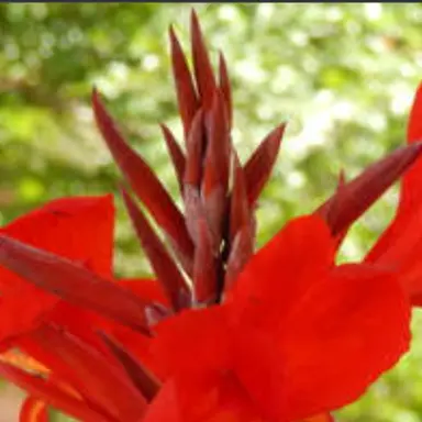 Profile image of 코카맛 쿠키