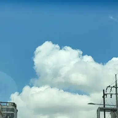 Profile image of 임지현