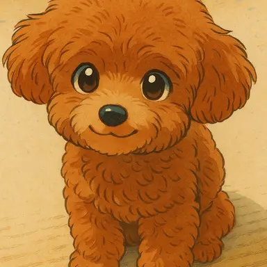 Profile image of 채콩