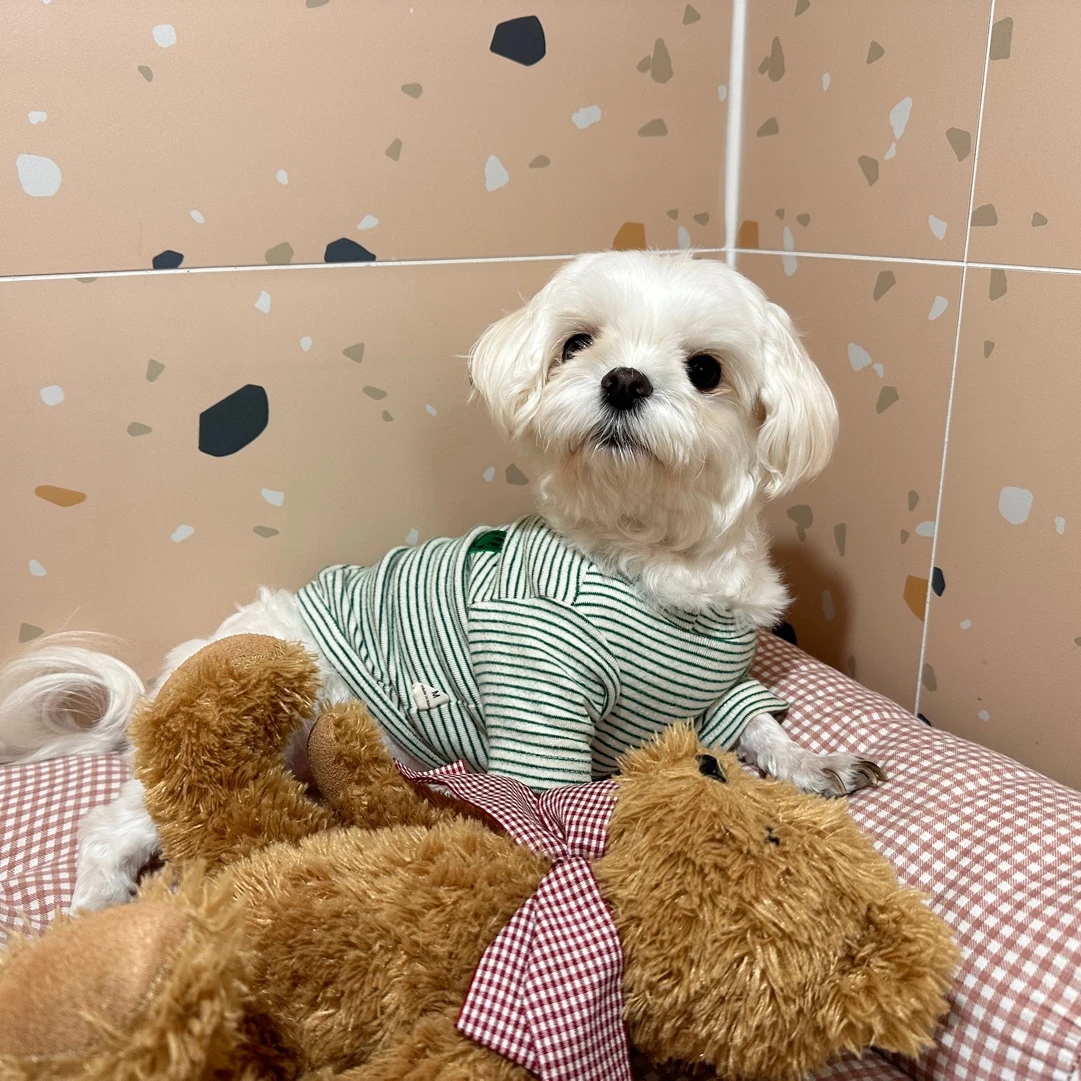 귀여운일찐