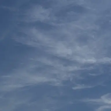 Profile image of 연우