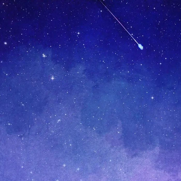 CrispyBog1484의 꽃보다 남자