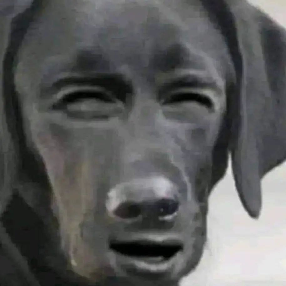 SubtleHarp9447의 기수연