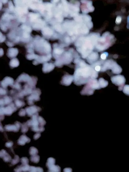 Amase_Reo의 オークション会場