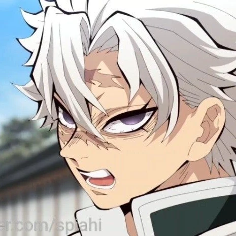 시나즈가와 사네미