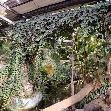 Profile image of 유서아