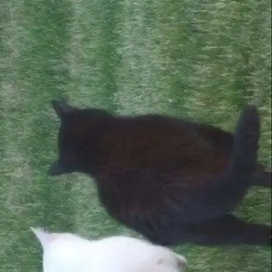 Profile image of 서창빈