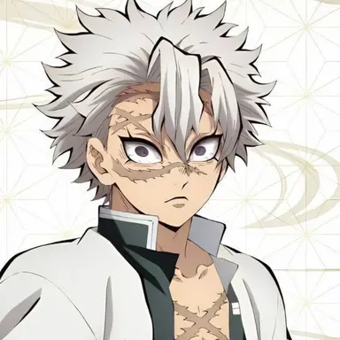 Profile image of Sanemi Shinazugawa