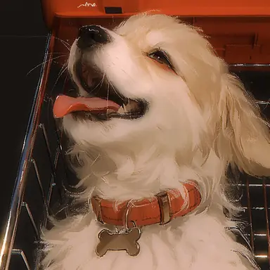 Profile image of 버터