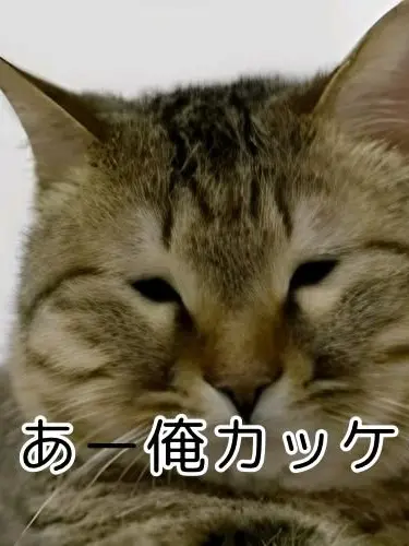 atashiSABA의 人気者のあいつはヤバイやつ