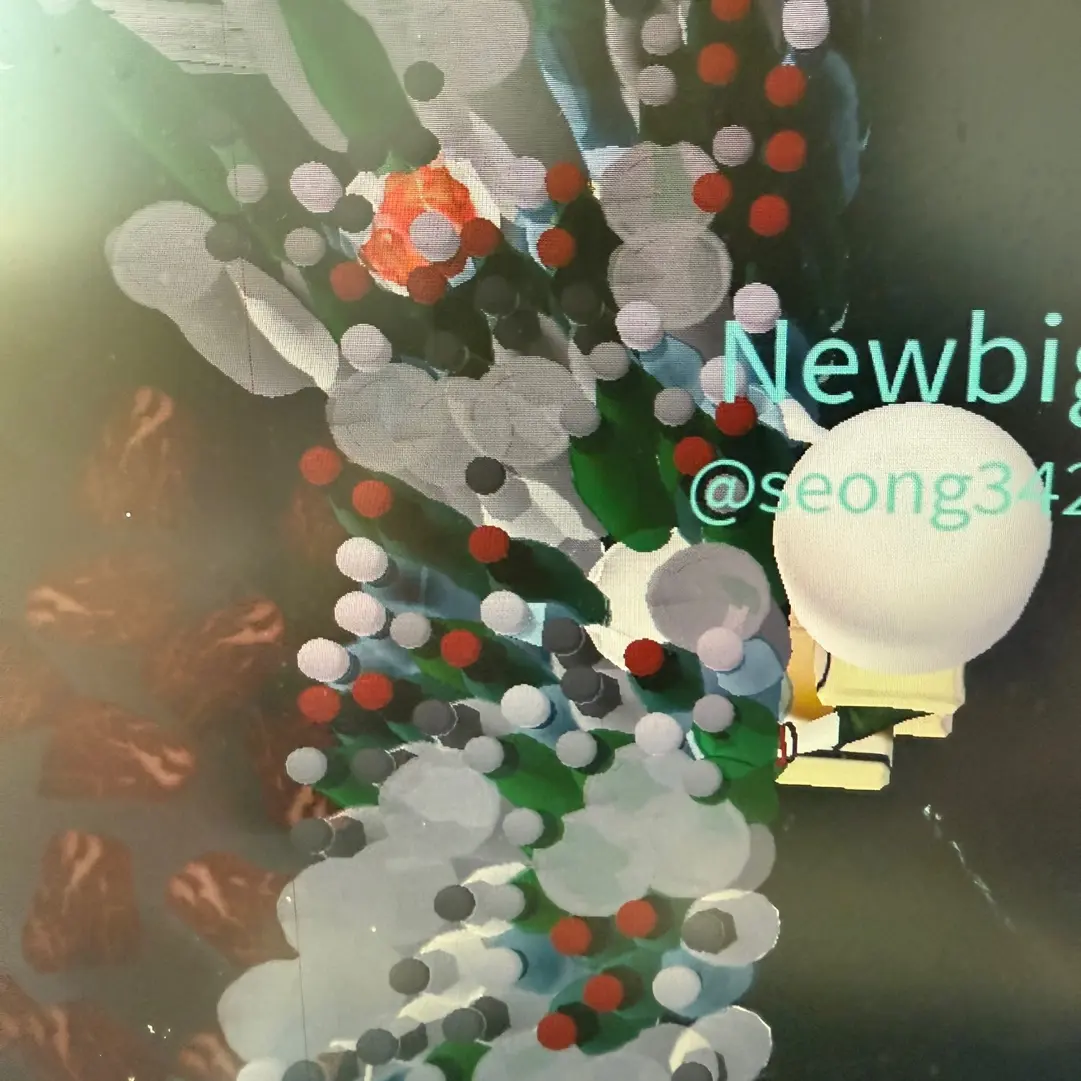 FancySwine9255의 돌버섯