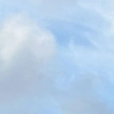 Profile image of ブリ子