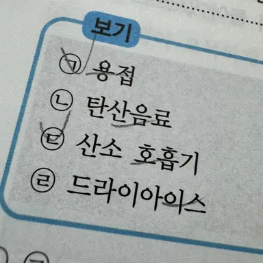 Profile image of 라이너스 슈바르츠