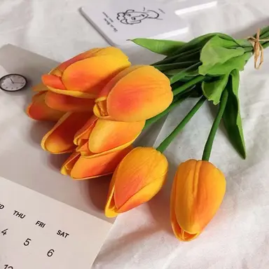 Profile image of 덕개