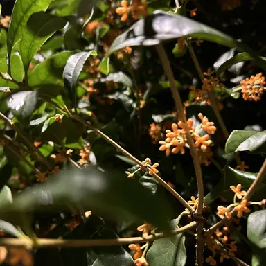 Profile image of 森本慎太郎