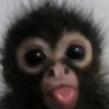 Profile image of 서형준