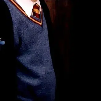 SAKAMOTODAYS의 ハリーポッター