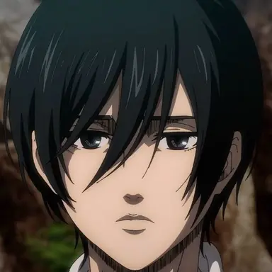 Profile image of ミカサ