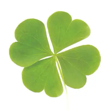 Profile image of ２組の生徒