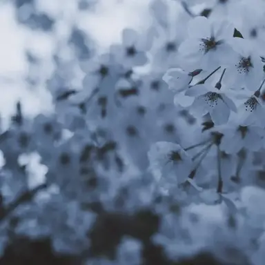 Profile image of 若井滉斗