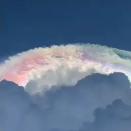 Profile image of 다크레인보우