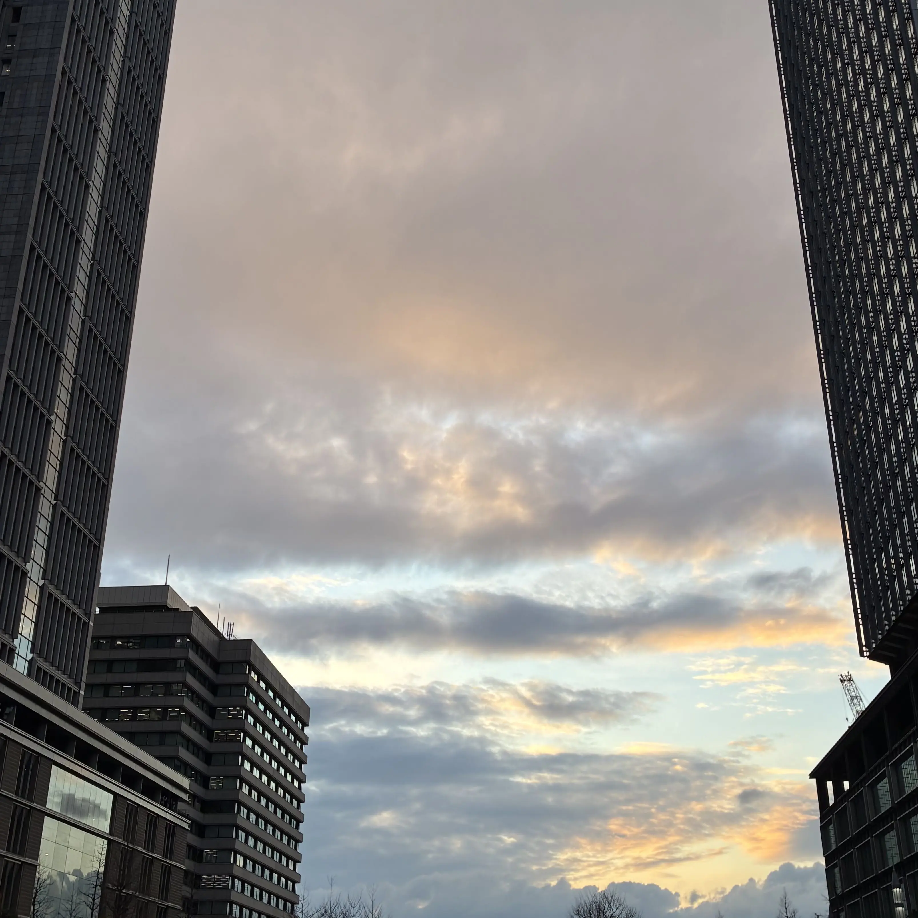 PortlyAinu8696의 。