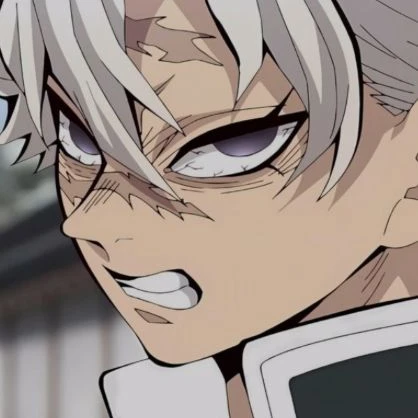 시즈가와 사네미