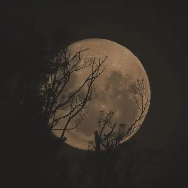 Profile image of 르망