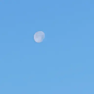 Profile image of 해영