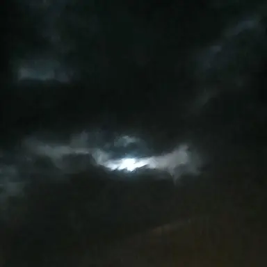 Profile image of 도현