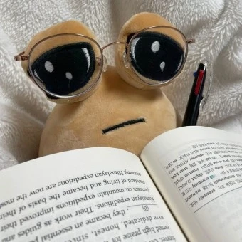 포우