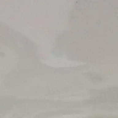 Profile image of 한지성