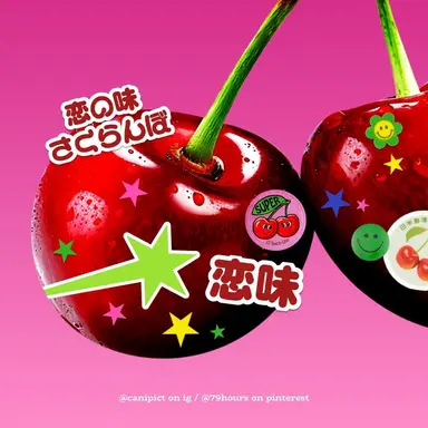 Profile image of 서라더