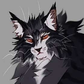 Profile image of Wildcard