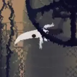 Profile image of 하양 도마뱀