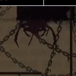 Profile image of 집게 벌레