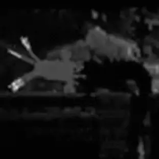 Profile image of 검은 도마뱀