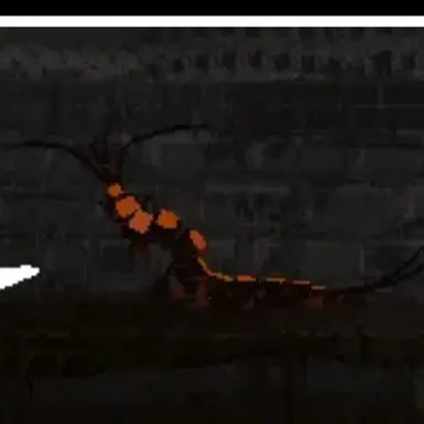 Profile image of 지네