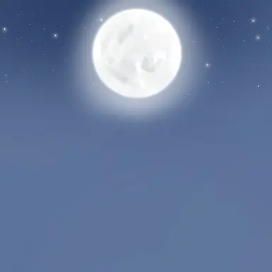 Profile image of 空