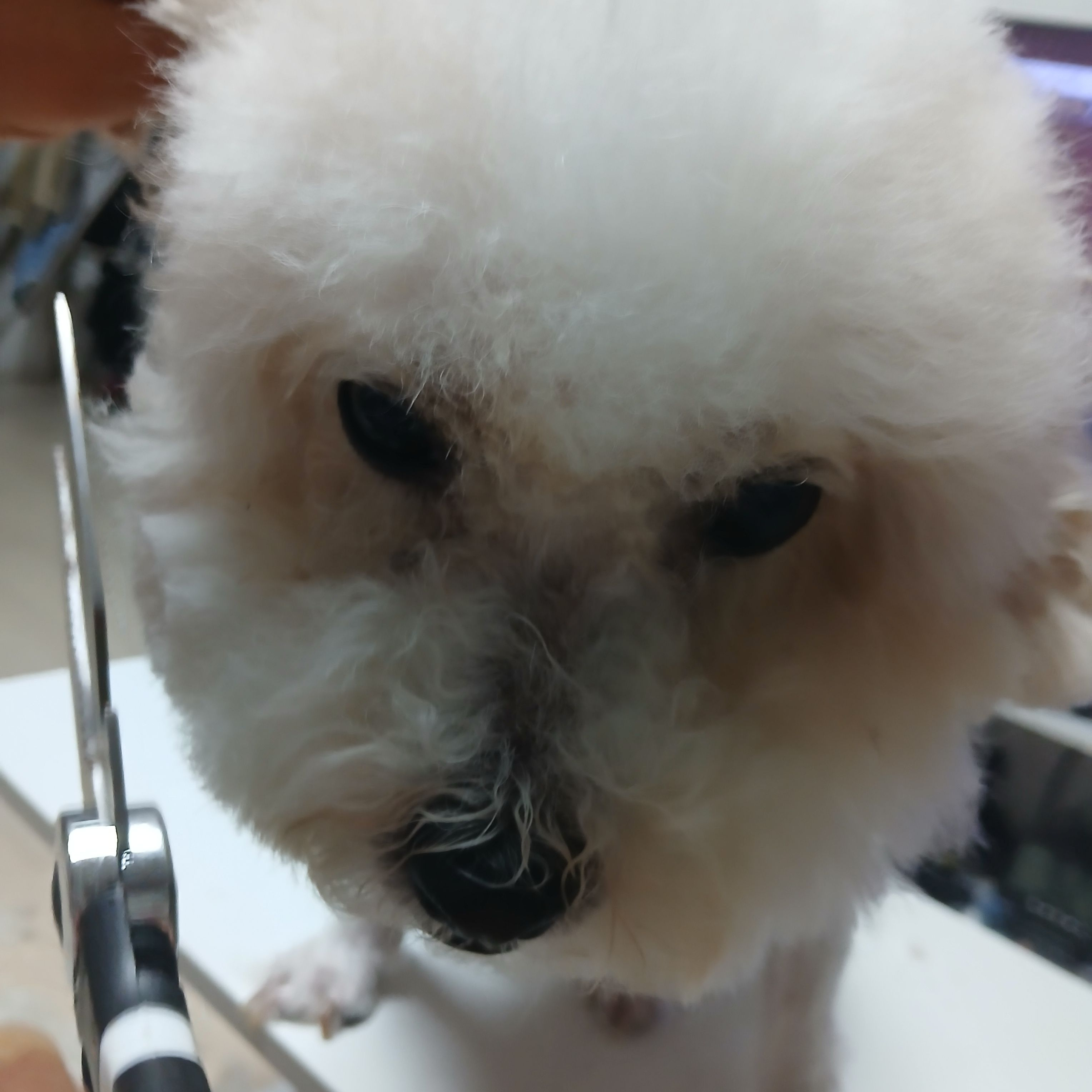 티니. 대표 이미지