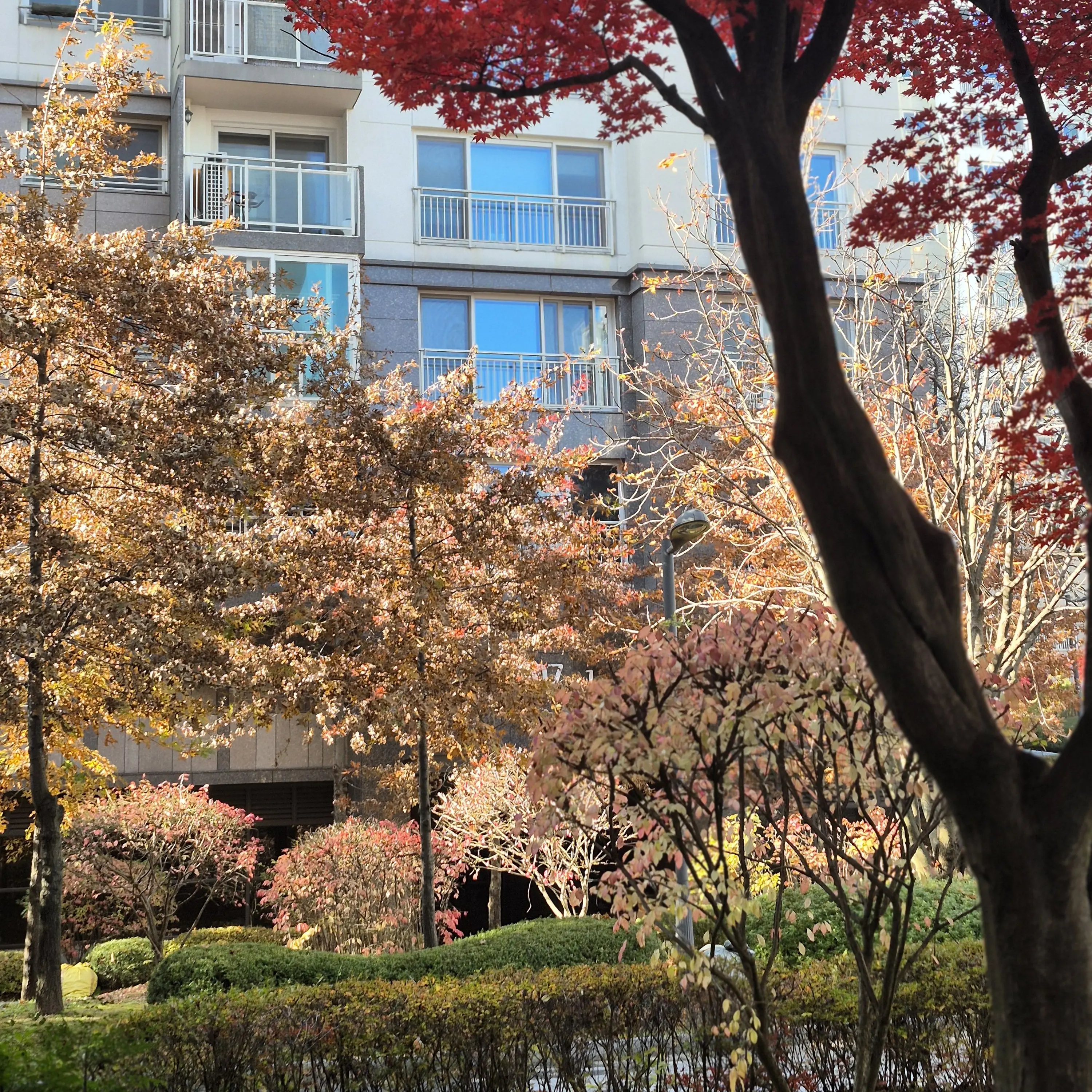 WoodyMotor2719의 집사 6명