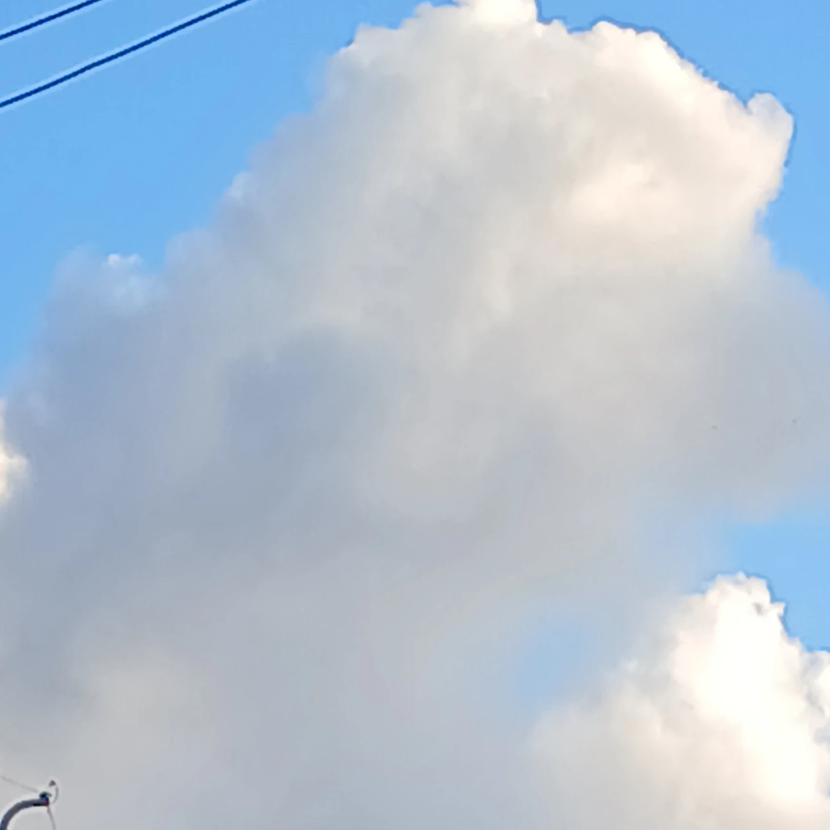 리레