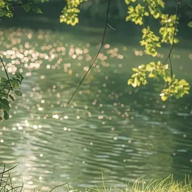 Profile image of 우참