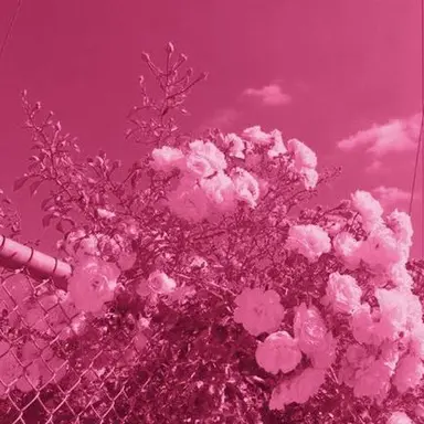 Profile image of 아름